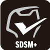 SDSM+